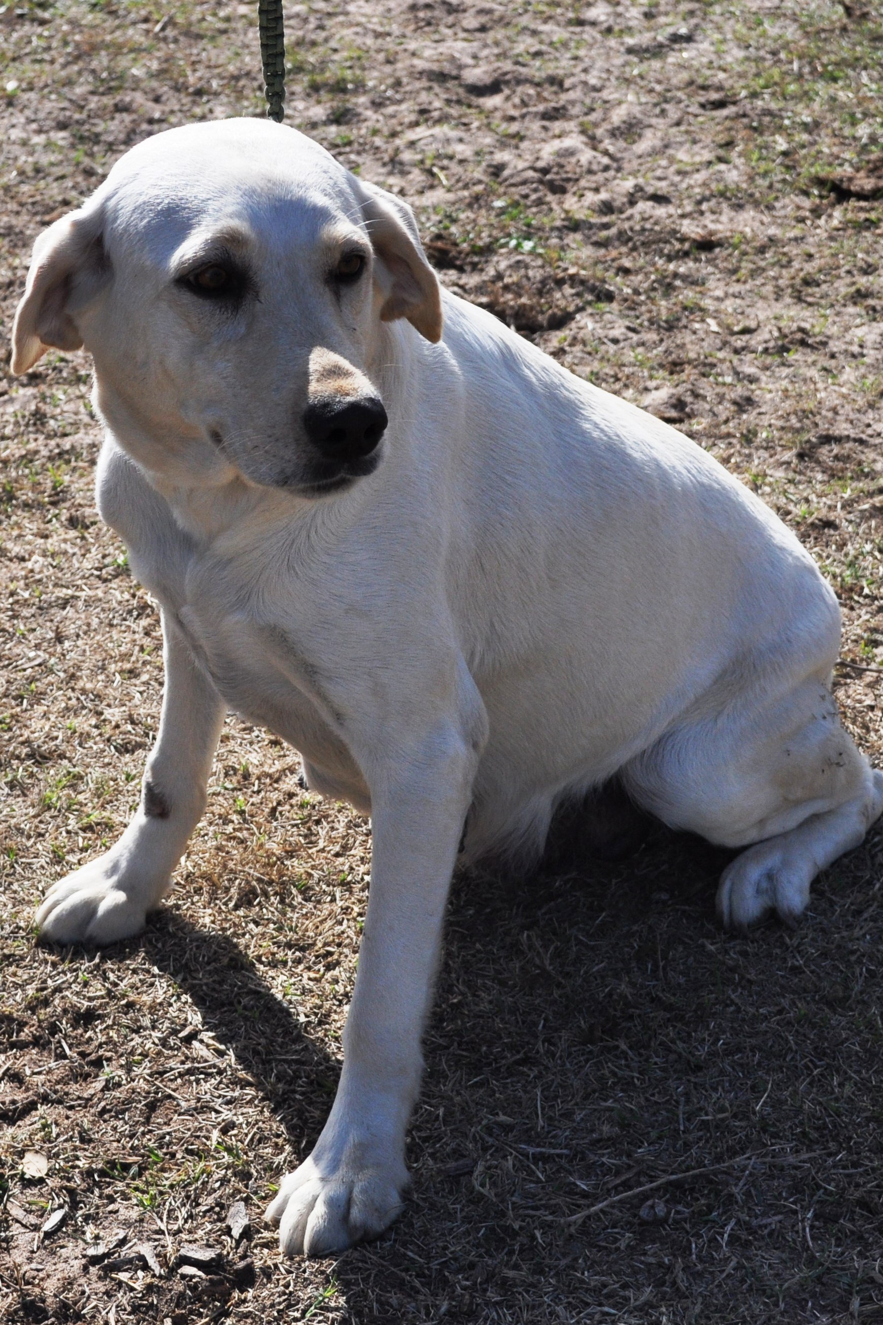 DSC_0004.JPG